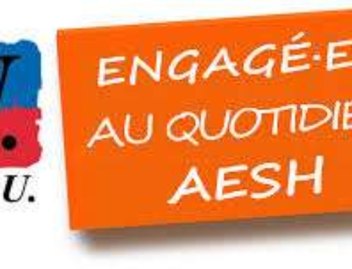 AESH : Audience de la FSU du 18 juin