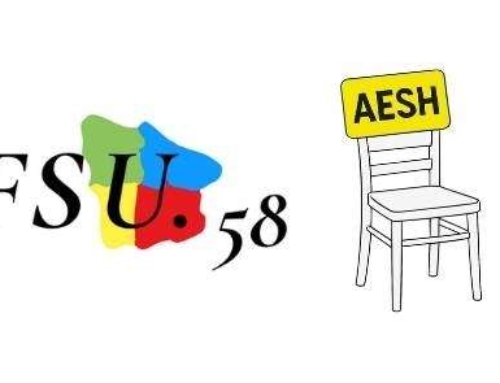 Stage AESH au collège de Varennes-Vauzelles jeudi 30 avril